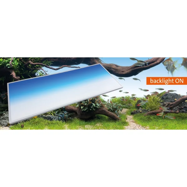 0m0lgeicxze