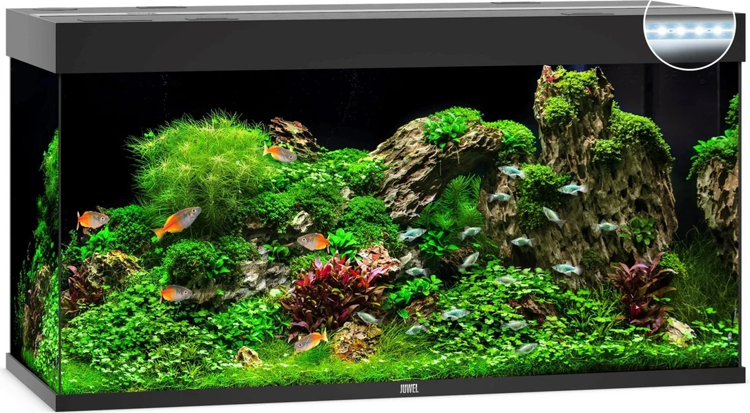 11x1pzdsqqz