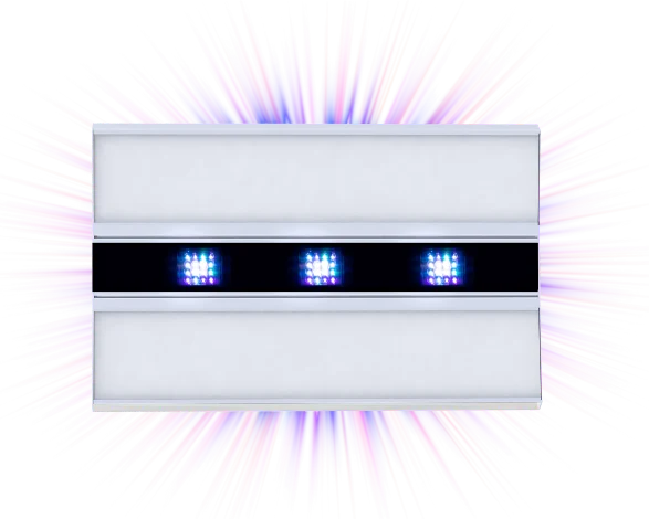 1quytu4e3lr
