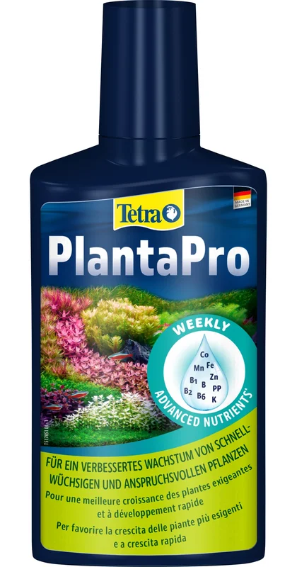 4lofv5auvpo