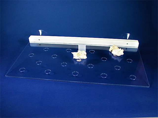 4rrc1salpn3