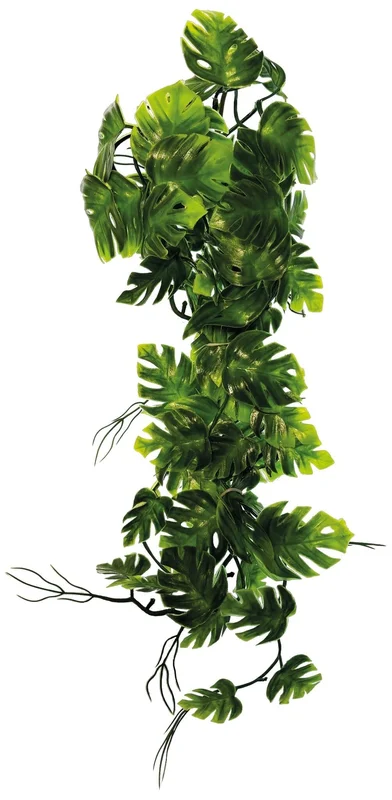 4vwmn5p1flf