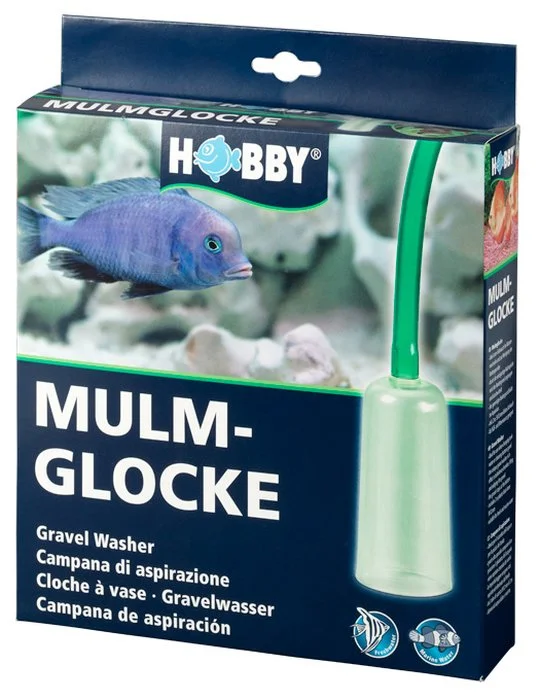 allqllx2g0w