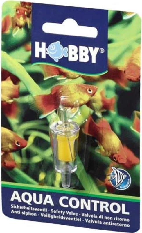 b1g0qsp5e3n
