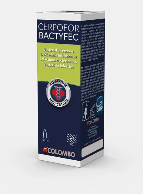 b2ldzuelgi1