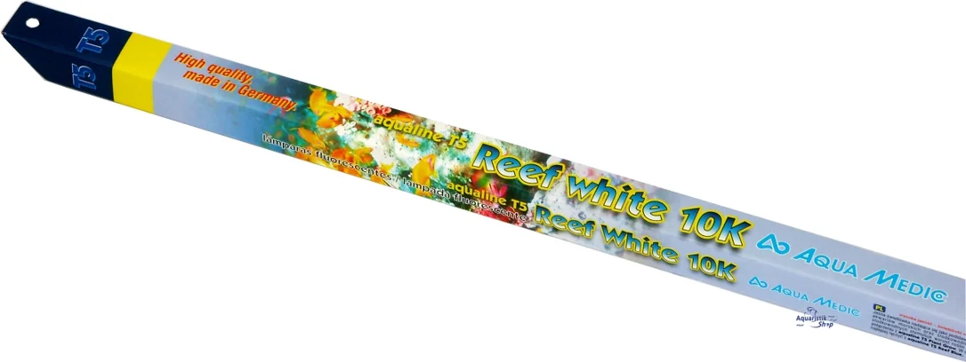 bnp1cewshxs