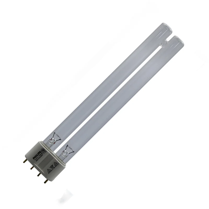 ckijx2tt5xv
