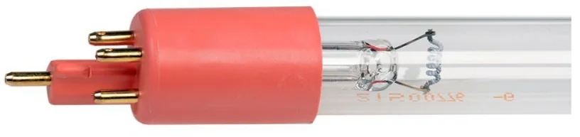 cliobp24qhp
