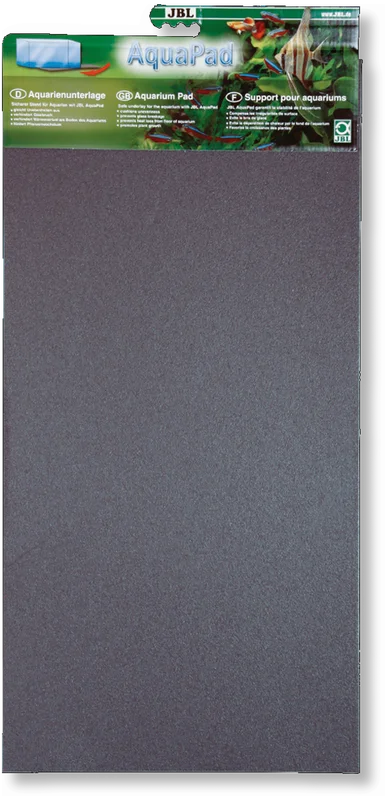 cont1xde2in