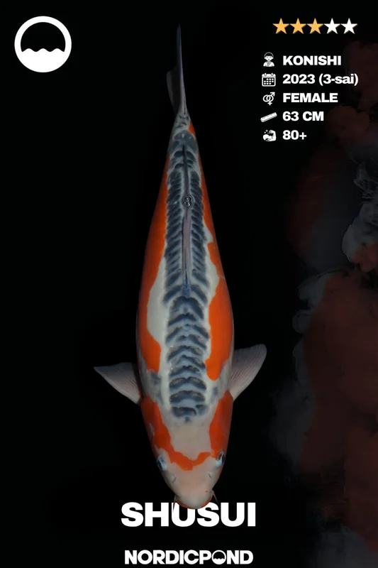 cqa1m1pls3t