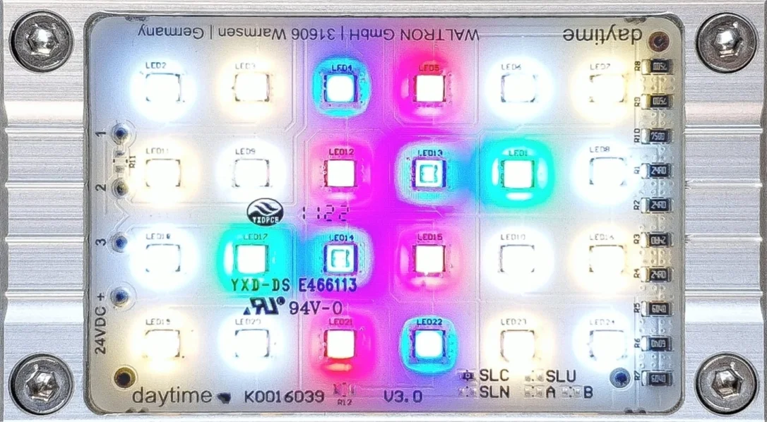 do3ihecyled