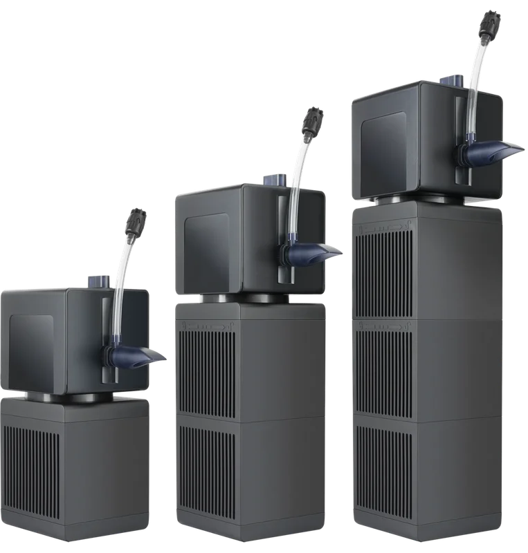 dsgtnbgiz5o