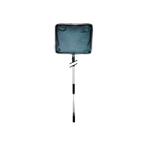 dtxceg5tdnq
