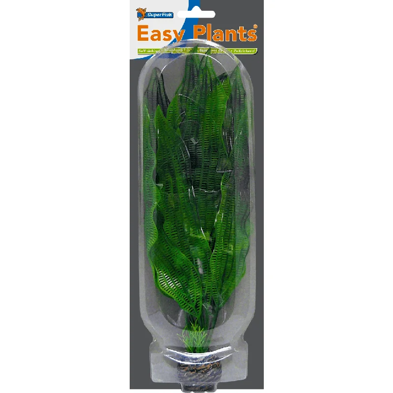 e15xugboif4