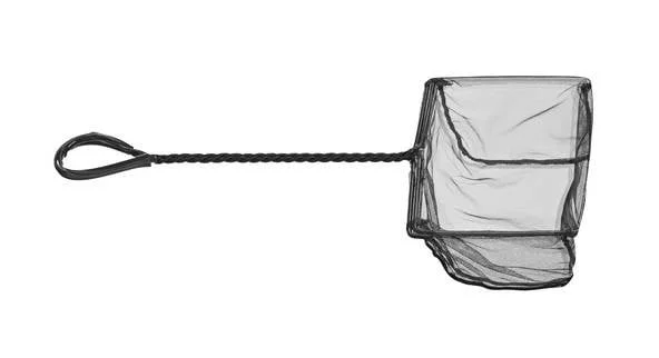 ecp40hbpny2