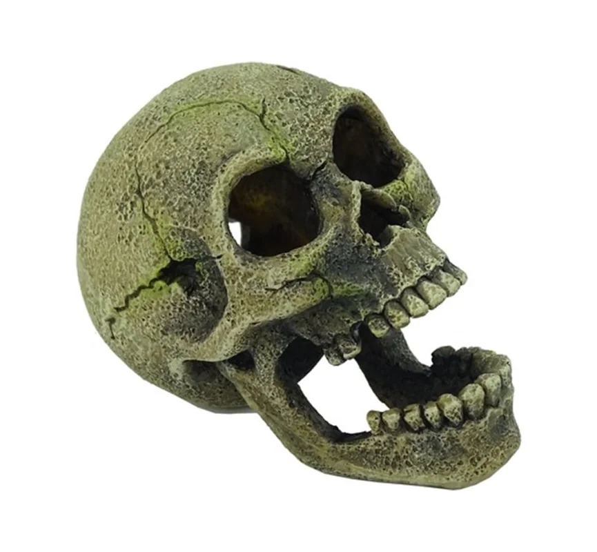 em4zvjyrwo4