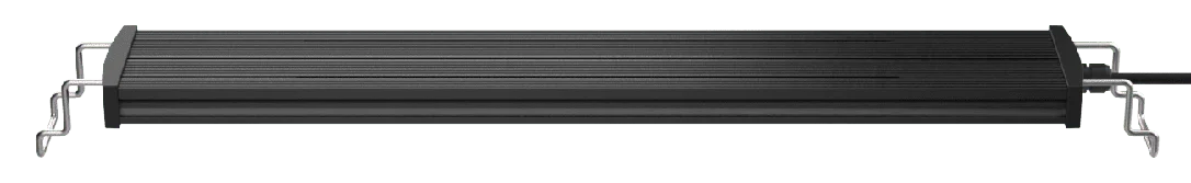 h33xv3ckjxb