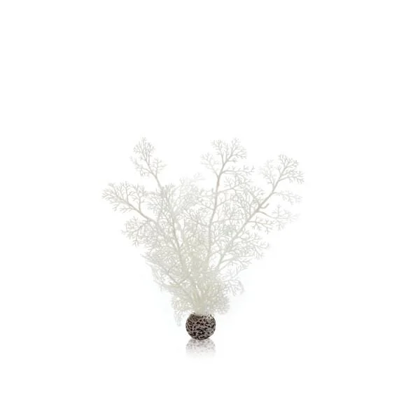 hbpvn43ydco