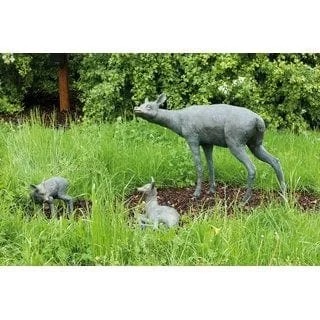icmspupvcaw