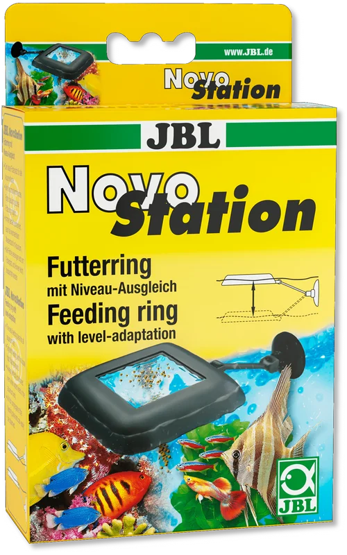 ikonr1nlqqb