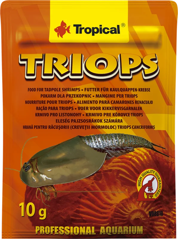 jrfvq5idzo5