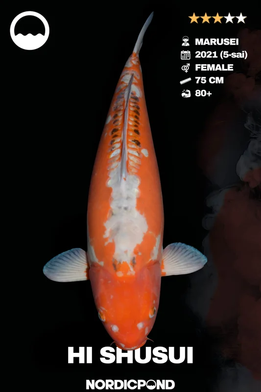 jtgodl3dg0b
