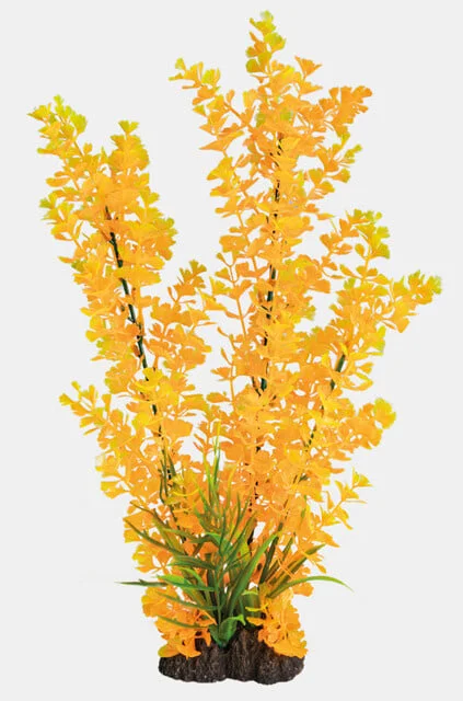 lnbopxt3xxf