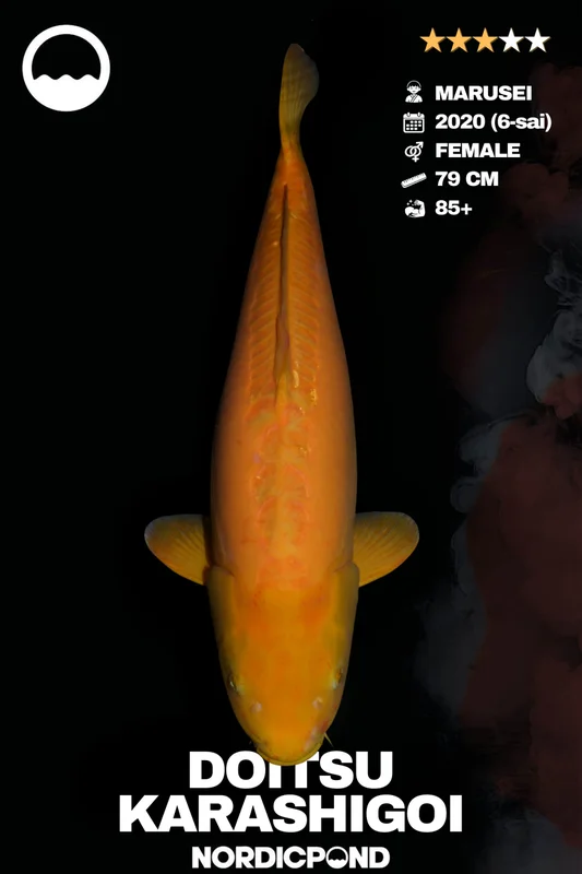 lobsf5trwhv