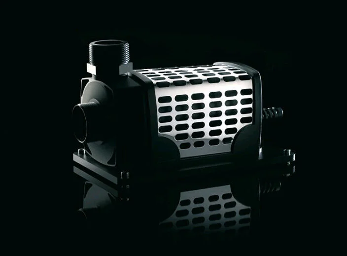 loddizxngkx