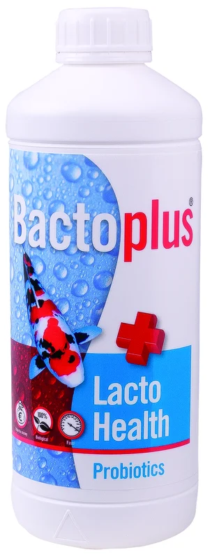 mzyocxbda3j