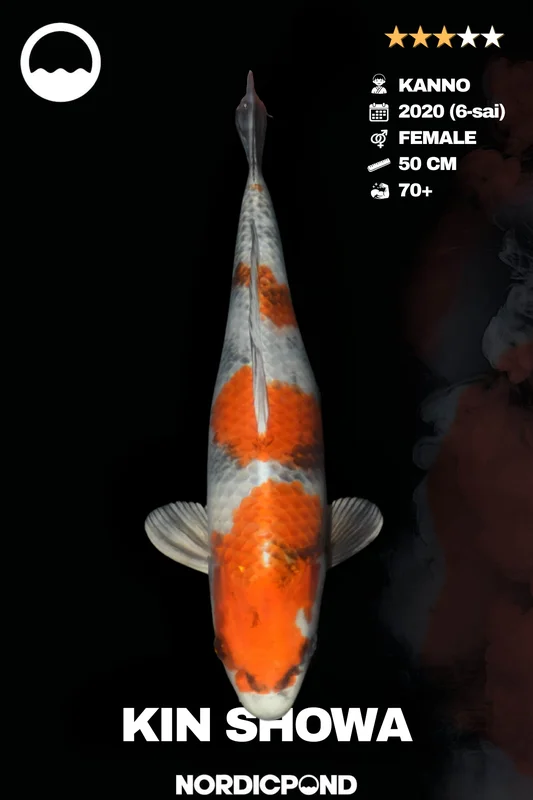 o5hs440khrk