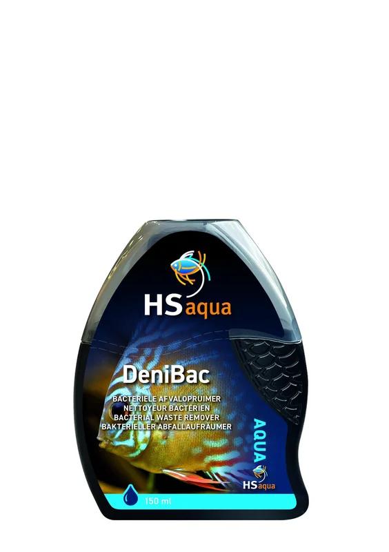 ob2y5bwodsi
