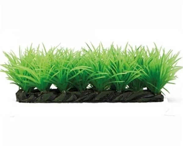 ohhxh1n5mxz