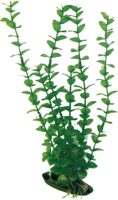plrh5oovenz