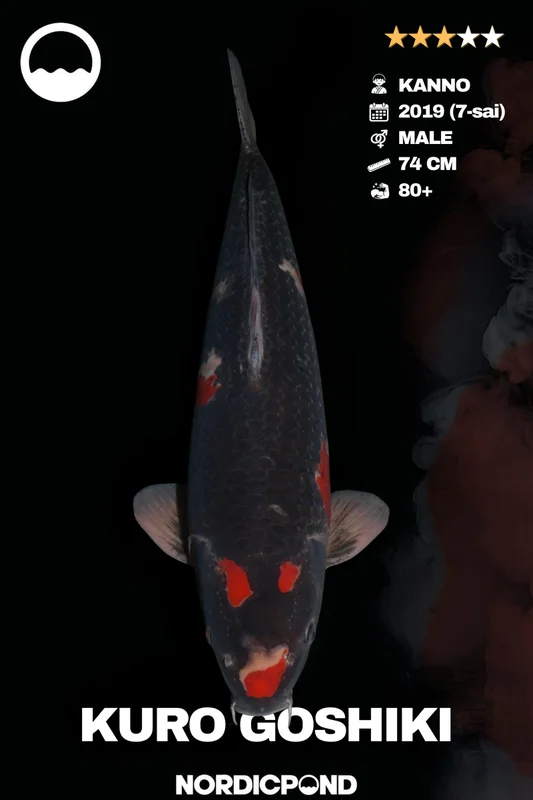 qnwxzuwyuha