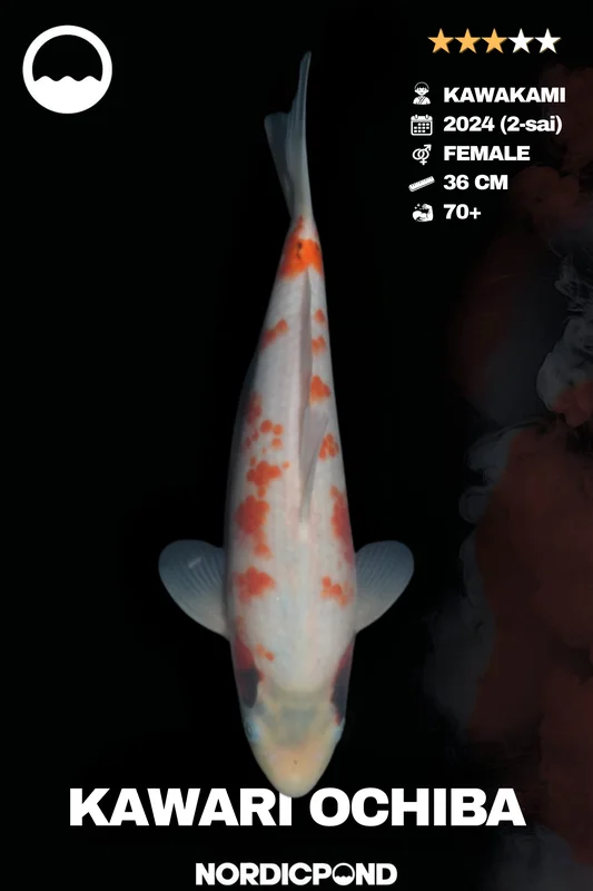 svucwrklrj5