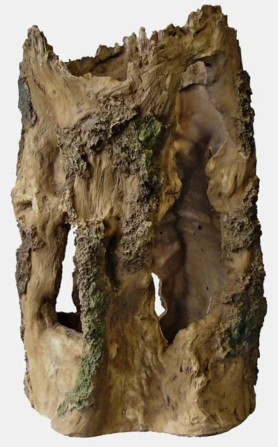szfoyxzvuac
