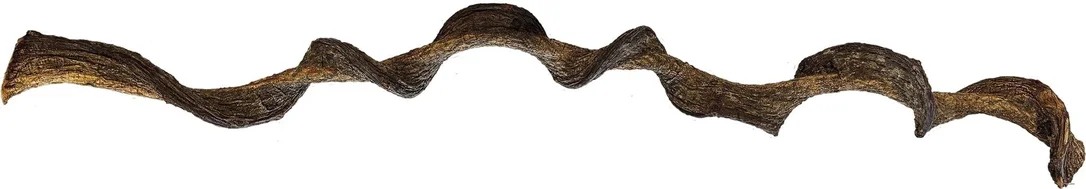 t34fnnfugiq