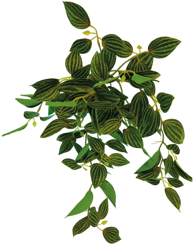 usasbnwpil5