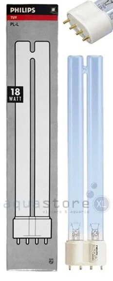 vect13lecms