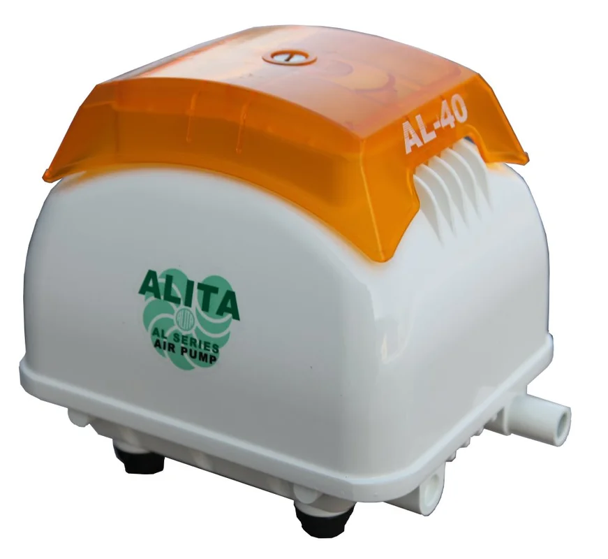 wtasq30y5bs