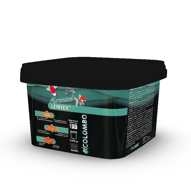 wurzqt2px0g