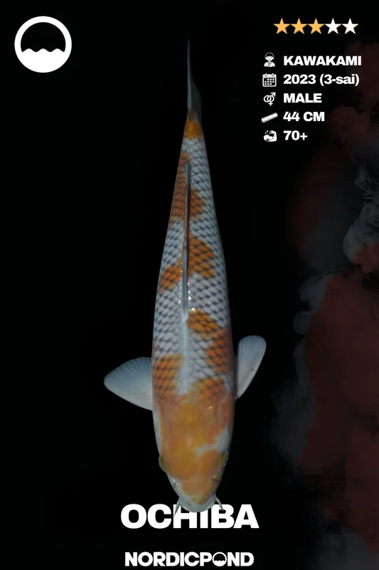 wvvx1sn4m0i